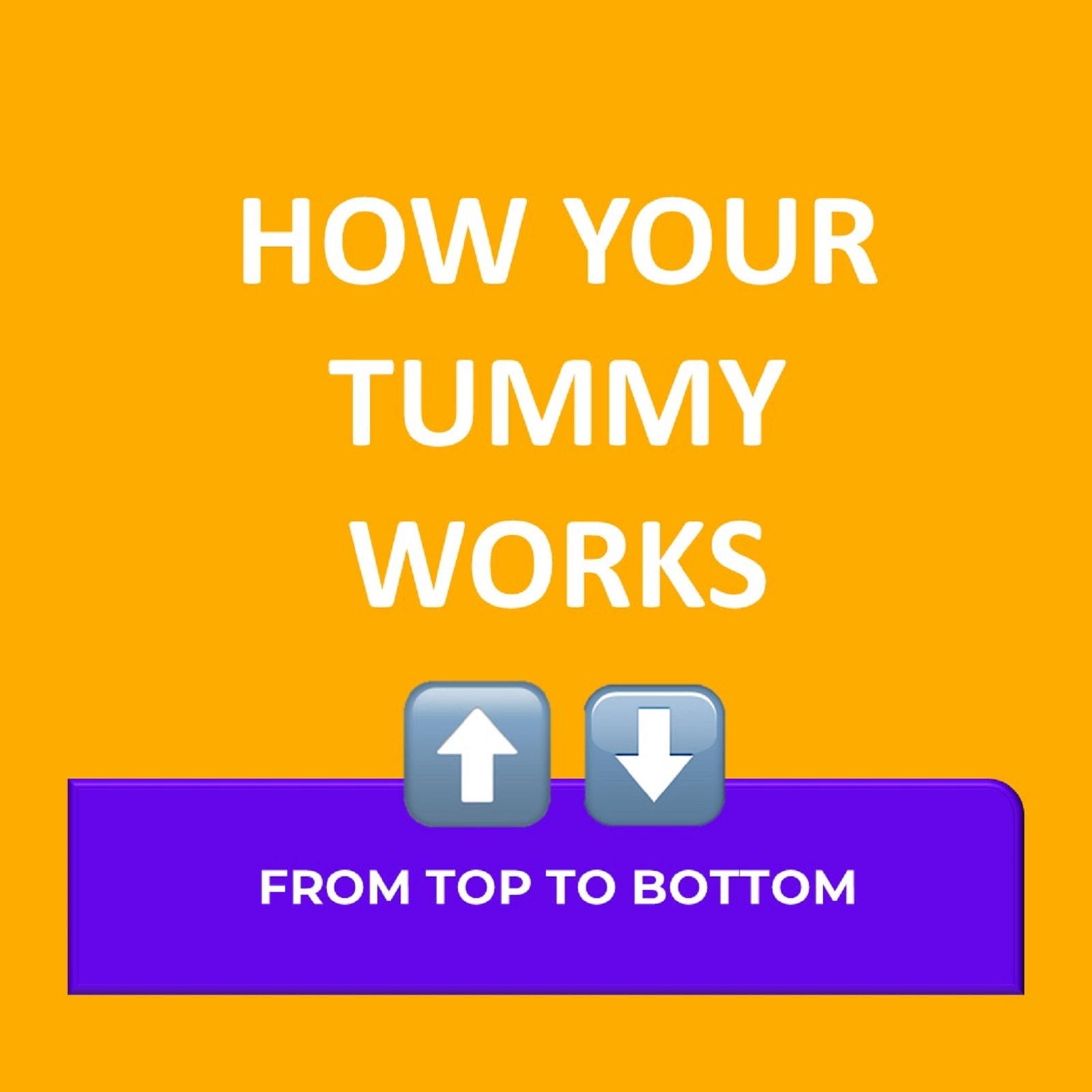 how-your-tummy-works-all-you-need-to-know-tummy-mot