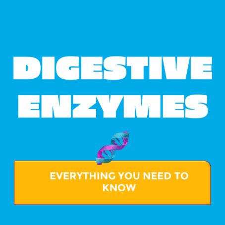 Digestive enzymes - Everything you need to know.
