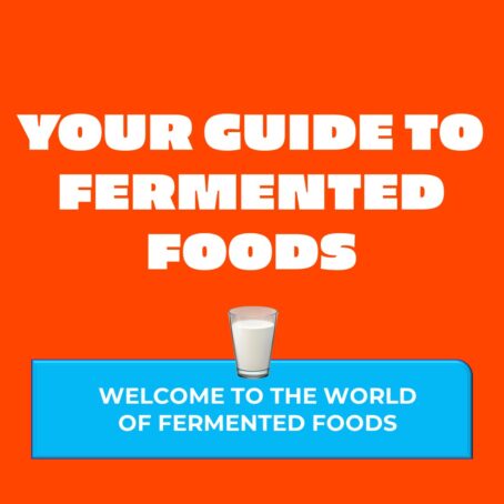 Your guide to fermented foods - welcome to the world of fermented foods