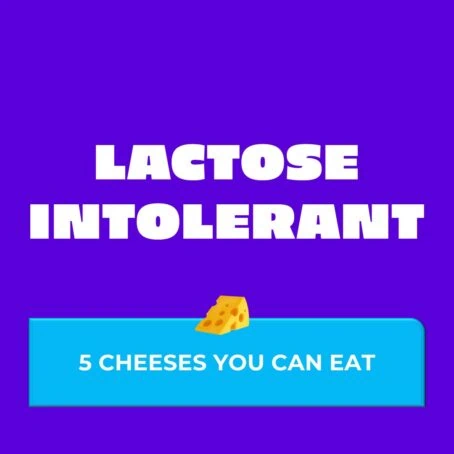 5 cheeses you can eat if your lactose intolerant